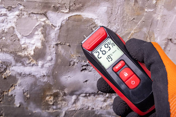 Best Bathroom Mold Remediation in Union, KY