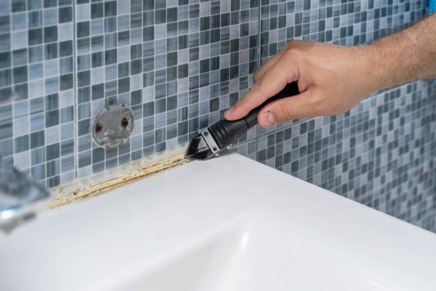 Best Health and Safety Mold Remediation in Union, KY